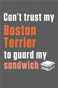 Can't trust my Boston Terrier to guard my sandwich