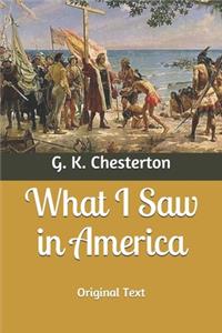 What I Saw in America