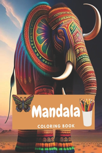 Mandala Coloring Book for Kids and Adults Fun loving Activity