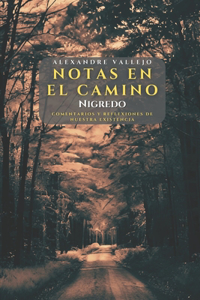 Notas en el camino - Nigredo