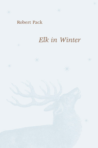 Elk in Winter