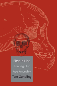 First in Line: Tracing Our Ape Ancestry