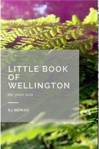 Little Book of Wellington