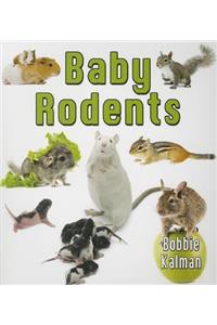 Baby Rodents