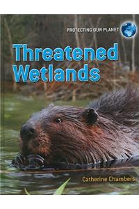 Threatened Wetlands