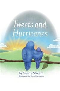 Tweets and Hurricanes