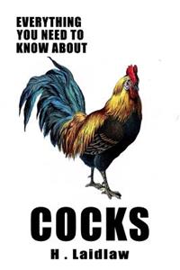 Everything You Need To Know About Cocks