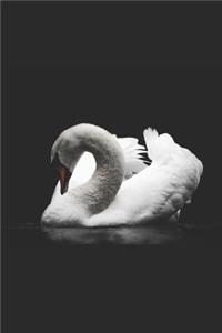 Celtic Swan Notebook