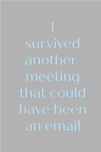 I survived another meeting that could have been an email