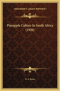 Pineapple Culture In South Africa (1920)