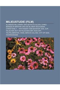 Milieustudie (Film): Slumdog Millionar, Das Geteilte Gluck, Chiko, Monsieur Ibrahim Und Die Blumen Des Koran