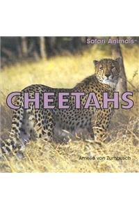 Cheetahs