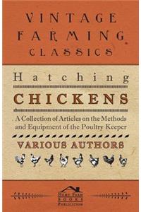 Hatching Chickens - A Collection of Articles on the Methods and Equipment of the Poultry Keeper
