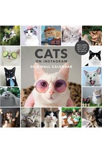 Cats on Instagram 2020 Wall Calendar