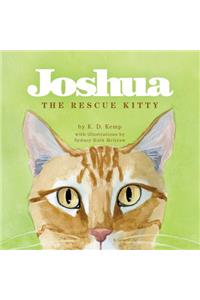 Joshua the Rescue Kitty