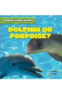 Dolphin or Porpoise?