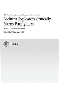 Sodium Explosion Critically Burns Firefighters