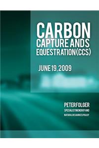 Carbon Capture and Sequestration (CCS)