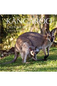 Kangaroo Calendar 2015