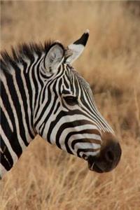 Mind Blowing Zebra Journal