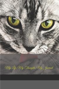 My Life, My Thoughts, My Journal