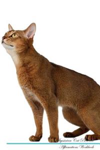 Abyssinian Cat Affirmations Workbook Abyssinian Cat Presents