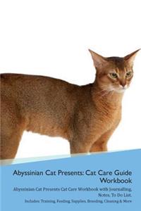 Abyssinian Cat Presents