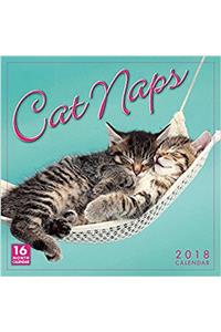 Cat Naps 2018 Calendar