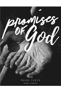 Promises of God Bible Study