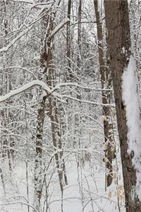 Winter Journal Scenic Photo