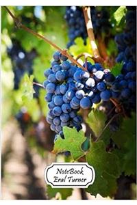 Journal Notebook Diary Grape: Pocket Notebook Journal Diary