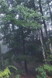 Journal Fog Woods Forest