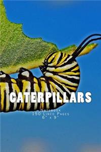 Caterpillars