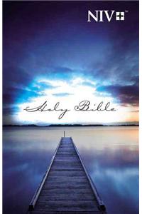 Outreach Bible-NIV