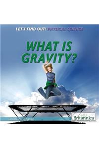 What Is Gravity?