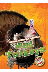 Wild Turkeys