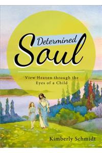 Determined Soul: View Heaven Through the Eyes of a Child