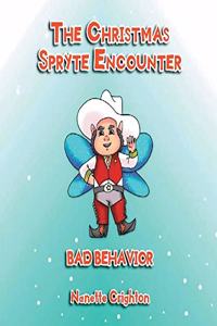 The Christmas Spryte Encounter
