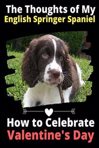 Thoughts of My English Springer Spaniel