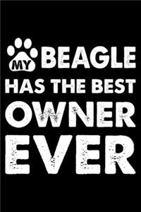 My Beagle Has The Best Owner Ever