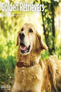GOLDEN RETRIEVERS CAL 2020