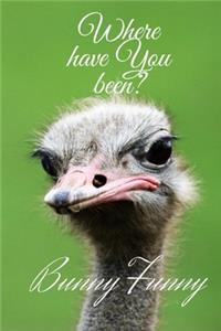 Funny Ostrich