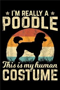 I'm really a poodle this is my human costume
