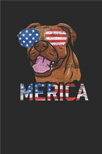 Merica Boxer