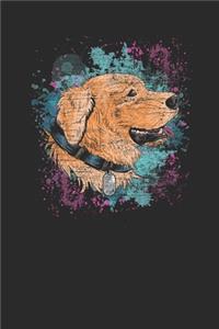 Labrador Color Splatter