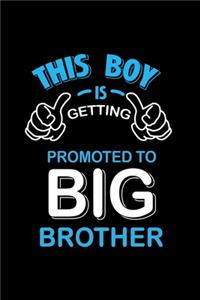 This Boy is Getting Promoted to Big Brother
