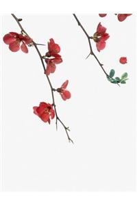 Flowering Red Quince Gone Wild Notebook