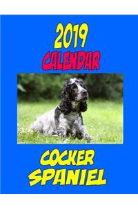 2019 Calendar Cocker Spaniel