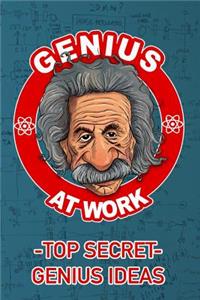 Genius at Work- Top Secret Genius Ideas