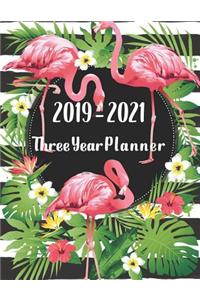 2019-2021 Three Year Planner